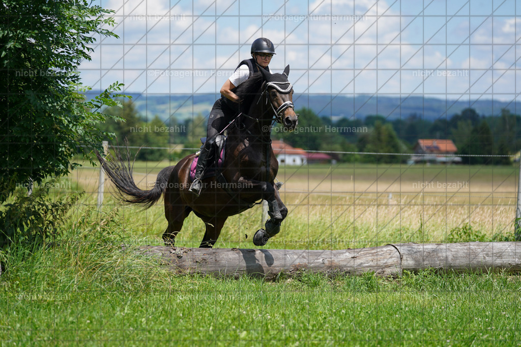 20240622-FAH07254 | Turnierfotografen Bayern, Reitsportbilder aus dem Geländekurs mit Felix Etzel auf dem Gut Waitzacker 2024
