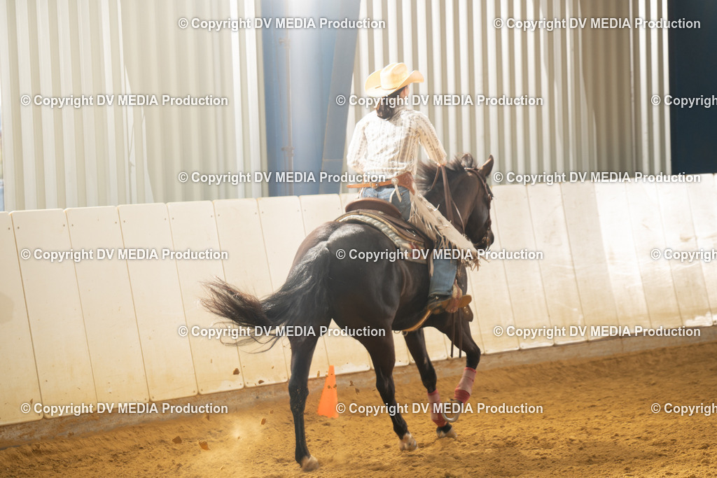 MIT00755 | dv-media-shop - Realisiert mit Pictrs.com