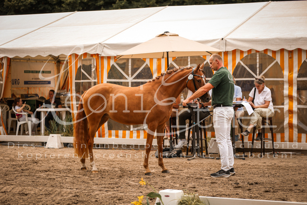 10.So00059 | Leoni Ertmer Photography - Realisiert mit Pictrs.com