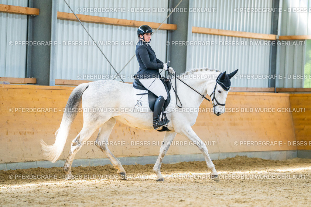 DSC07804 | Pferdegrafie