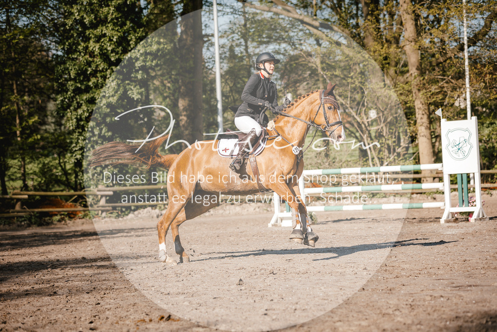 3I6A3608 | Stimmungsvolle Portraits und Reitsportfotografie im Ruhrgebiet und im Münsterland.

Pferdefotografie, Hundefotografie, Tierfotografie, Reportagen, Portraits von Tier und Mensch, Turnierfotografie in Bochum, Recklinghausen, Marl, Haltern am See, Dülmen.. - Realisiert mit Pictrs.com