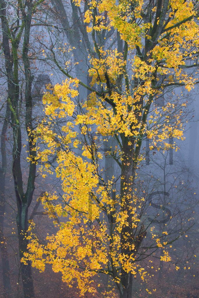 Ein Hans Fineart Original | Entdecke die Kunst von Hans Fineart - Fotografien für dein Zuhause. Verwandle deine Wände mit einzigartigen Kunstwerken und bringe die Schönheit der Welt in dein Leben. Bestelle jetzt und schaffe einen Ort der Inspiration und Eleganz.