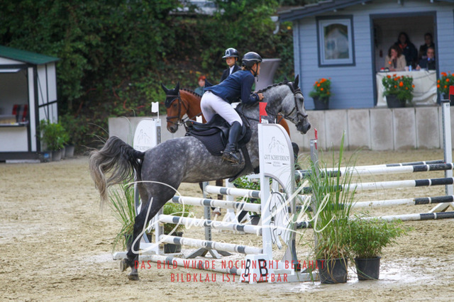 DKP40292 | Turniersportfotografie; Pferdefotografie; Dressurfotografie