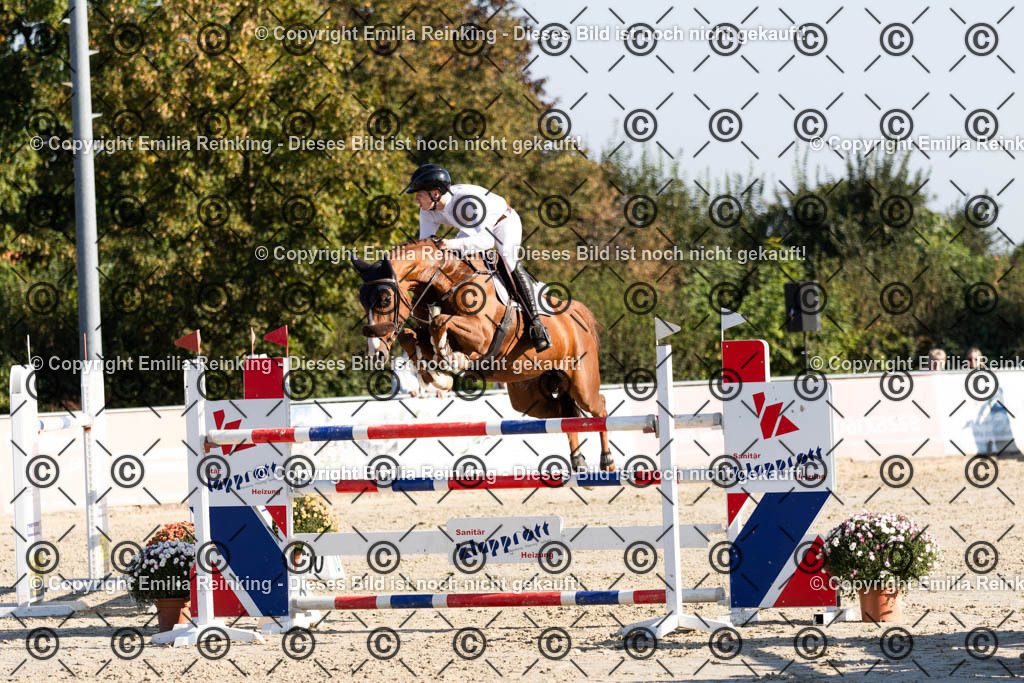 CL5A8117 | Emilia Reinking Fotografie - Realisiert mit Pictrs.com