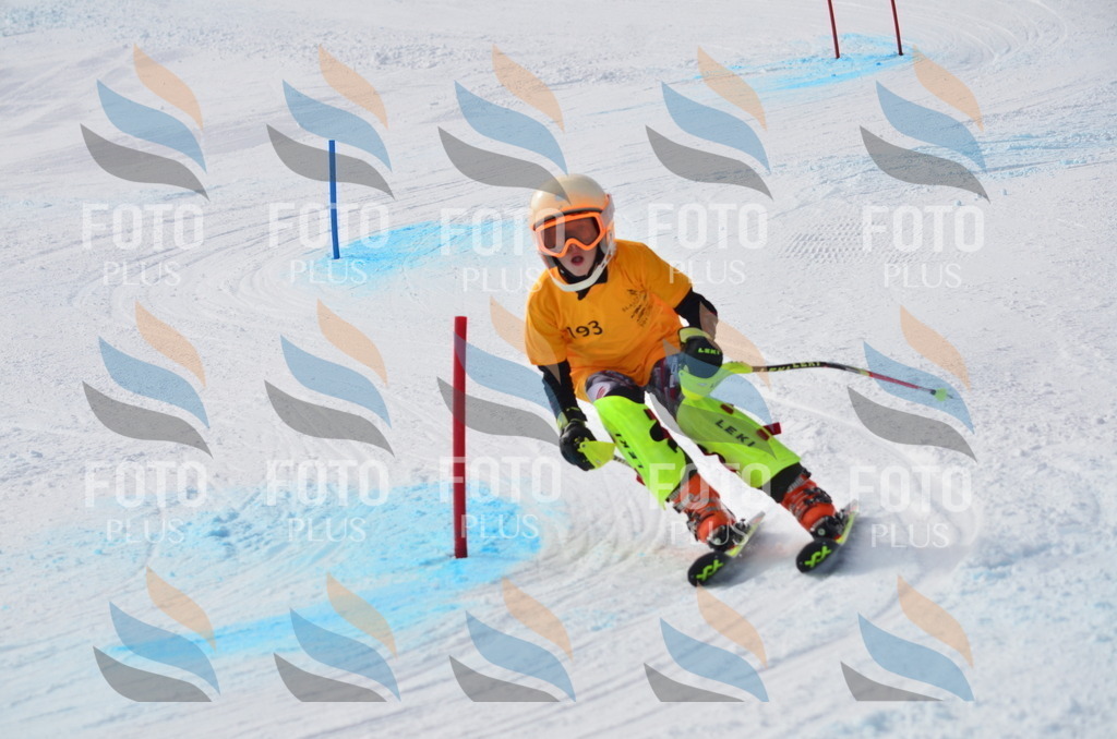 C8078 | holidayphoto