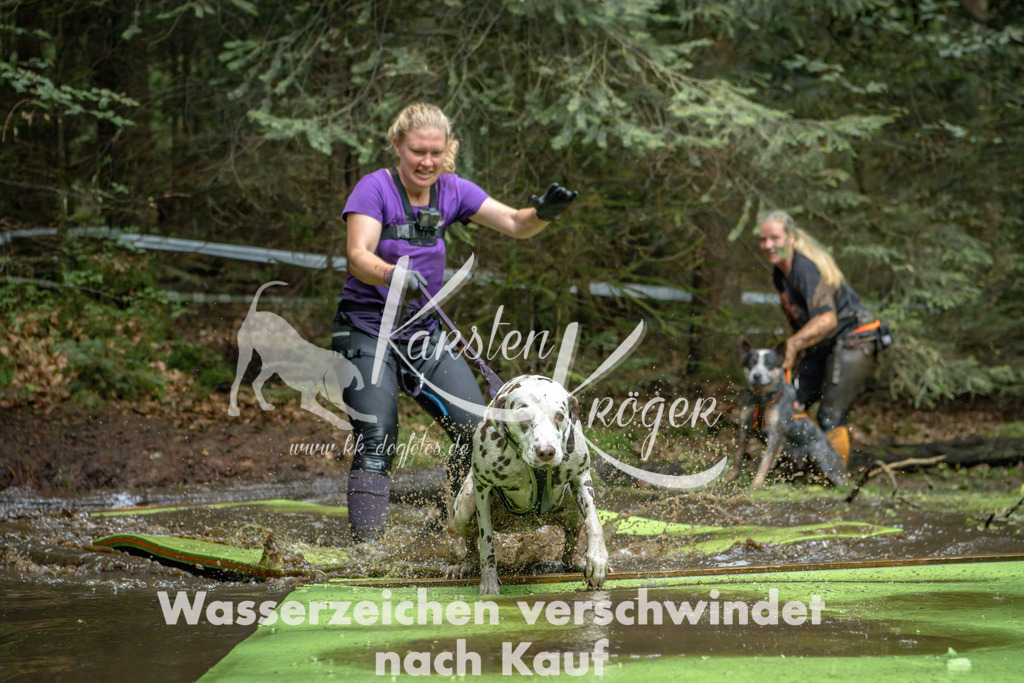 1530_ZZ90986-Bearbeitet | kk-dogfotos