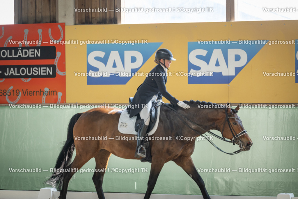 _D5A9979 | Emotionale Pferde- & People-Fotografie rund um Heidelberg, Leimen & Umgebung. Natürliche Fotos von Pferd, Mensch & Familie. Jetzt Termin sichern!