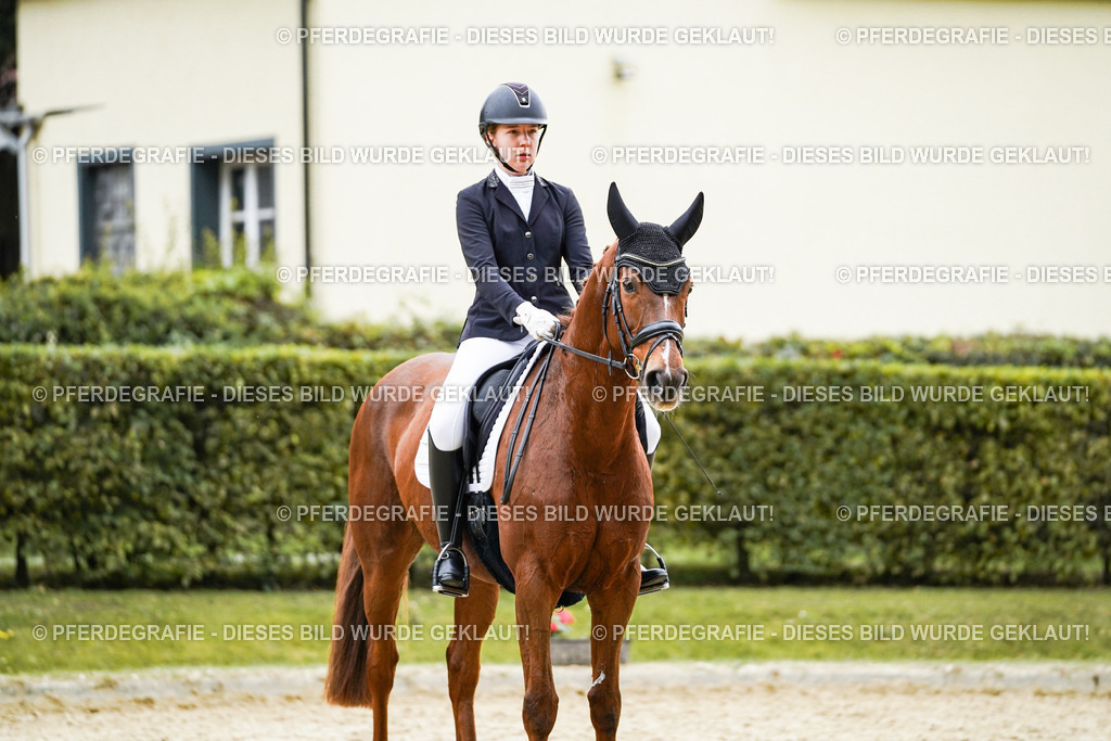 DSC07352 | Pferdegrafie