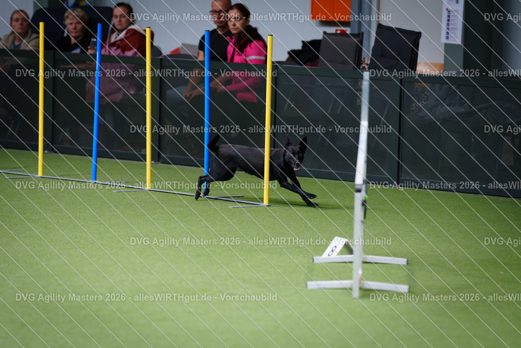 allesWIRTHgut_Tierfotografie-DVG_Agility_Masters_2026-11_41-7R506815 | Professionelle Tierfotografie in Mönchengladbach von Daniel Wirth (allesWIRTHgut). Liebevolle & natürliche Bilder von Hunden & Katzen für unvergessliche Erinnerungen.