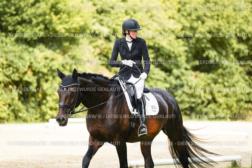 DSC02118 | Pferdegrafie