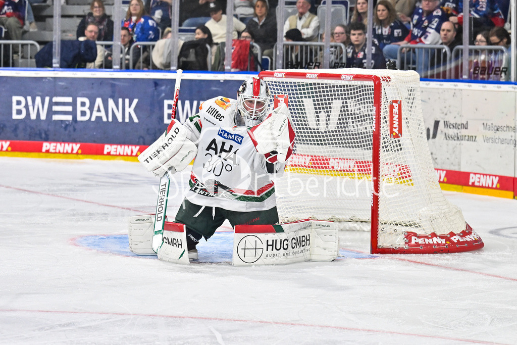 Adler Mannheim - Augsburger Panther | MANNHEIM, DEUTSCHLAND - 25. FEBRUAR: im Bild Peyton JONES (Augsburger Panther 41) / Einzelfoto / Freisteller während dem Match zwischen den Adler Mannheim und den Augsburger Panthern am 45. Spieltag der Penny DEL in der SAP Arena