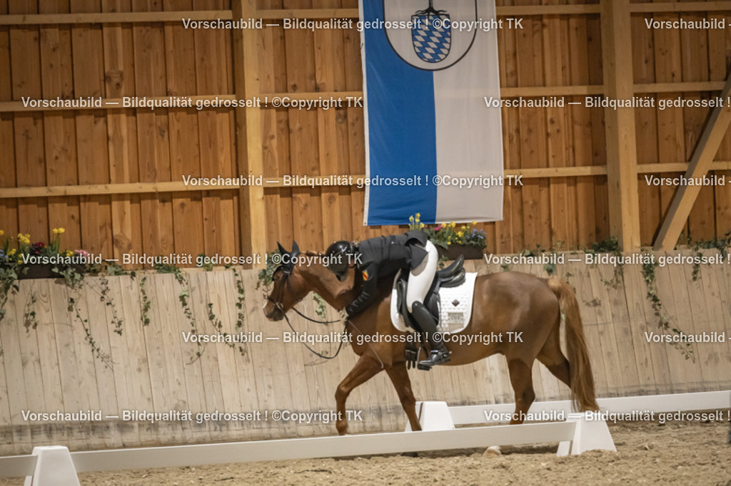 _D5A0901 | Emotionale Pferde- & People-Fotografie rund um Heidelberg, Leimen & Umgebung. Natürliche Fotos von Pferd, Mensch & Familie. Jetzt Termin sichern!