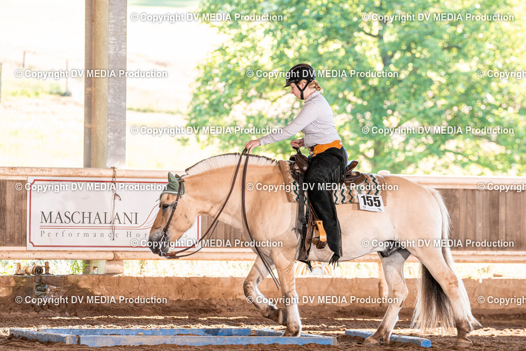 Erbach Tag 2-87 | dv-media-shop - Realisiert mit Pictrs.com