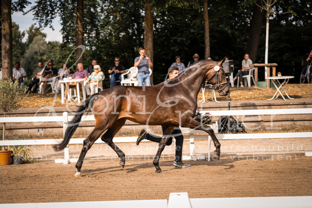 FrER00062 | Leoni Ertmer Photography - Realisiert mit Pictrs.com