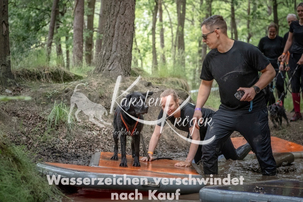 1200_ZZ96398T | kk-dogfotos