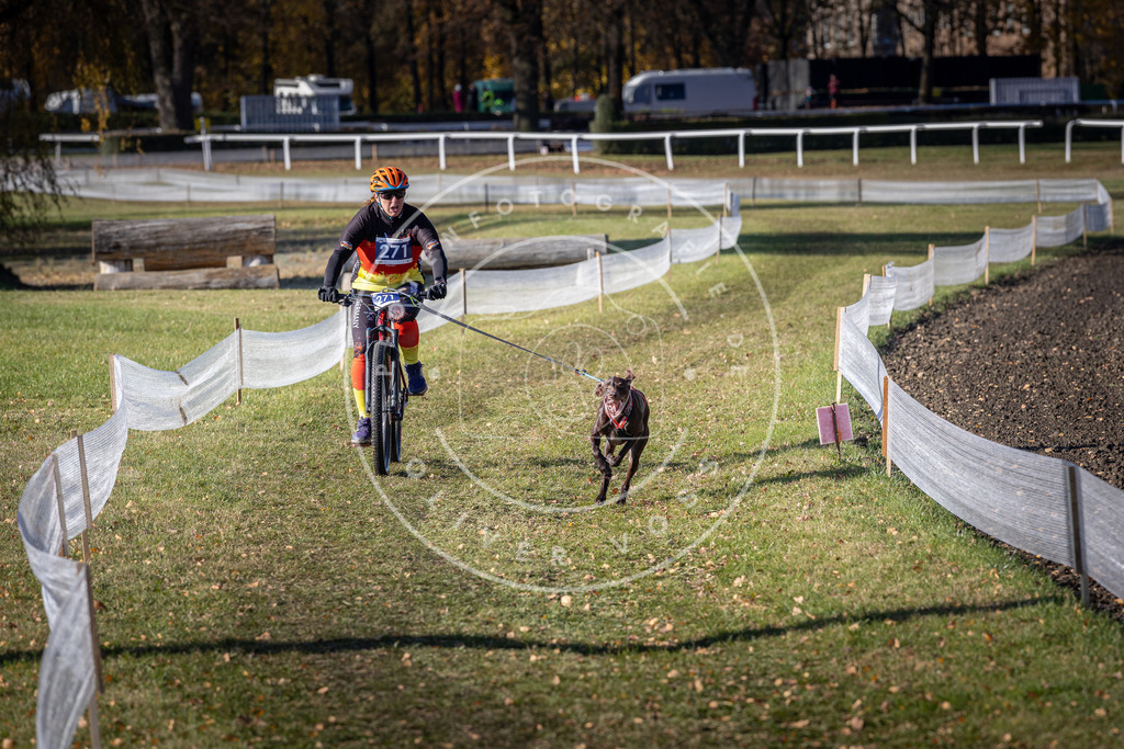 CaniXpix_DV3A5180 | Hundefotografie, Tierfotograf, Pfotenfotografie, Fotoshooting Hund, Hunde Portrait, Hundesport, Hundeportraits, Heideshooting, Hunde, Sportfotograf, Hundefotograf, Turnierhundsport, THS,  - Realisiert mit Pictrs.com
