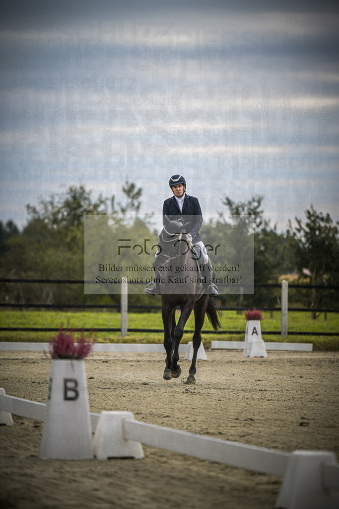 DOS_0451 | Entdecke hochwertige Reitturnierfotos von Foto Oger. Professionell, emotional und authentisch – jetzt Lieblingsmomente im Shop bestellen.Deutschlandweite Turnierfotografie. - Realisiert mit Pictrs.com