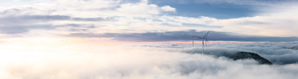 Dichter Nebel auf der Alb | löwenblicke | shop