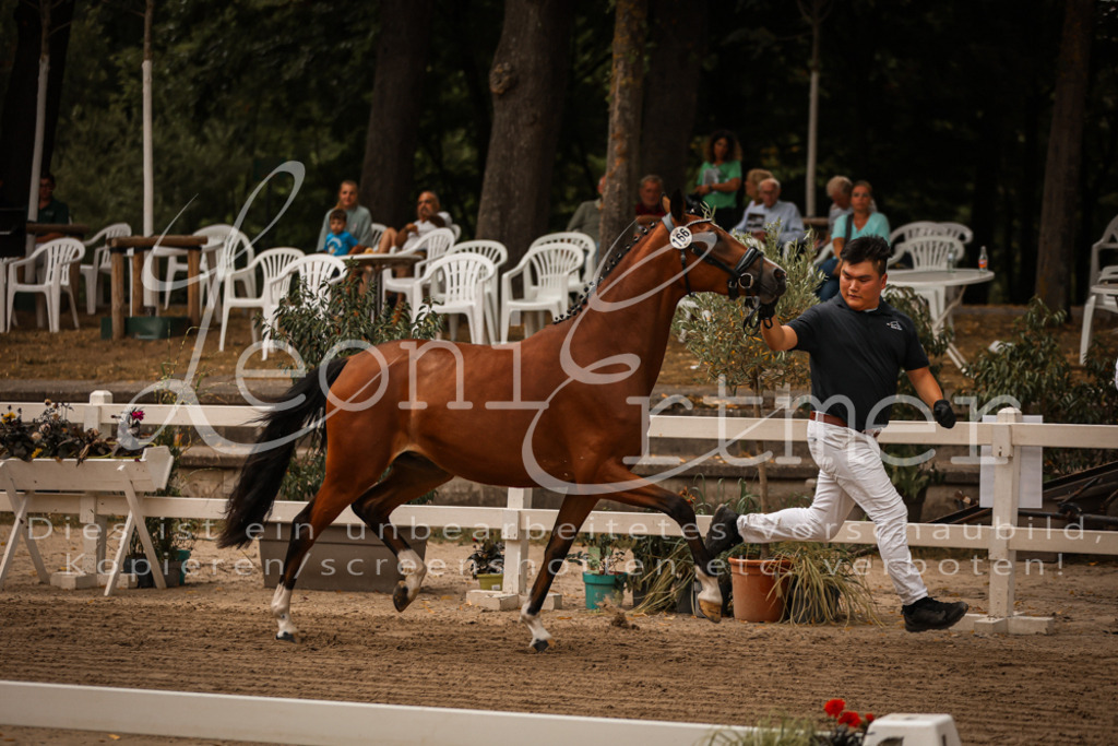 10.-12.Elite00037 | Leoni Ertmer Photography - Realisiert mit Pictrs.com