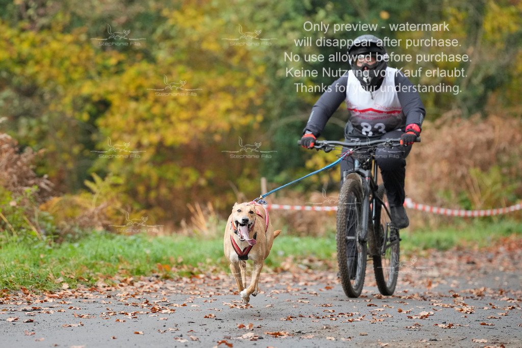 Bike_So-141 | stephaniefillaphotographie - Realisiert mit Pictrs.com