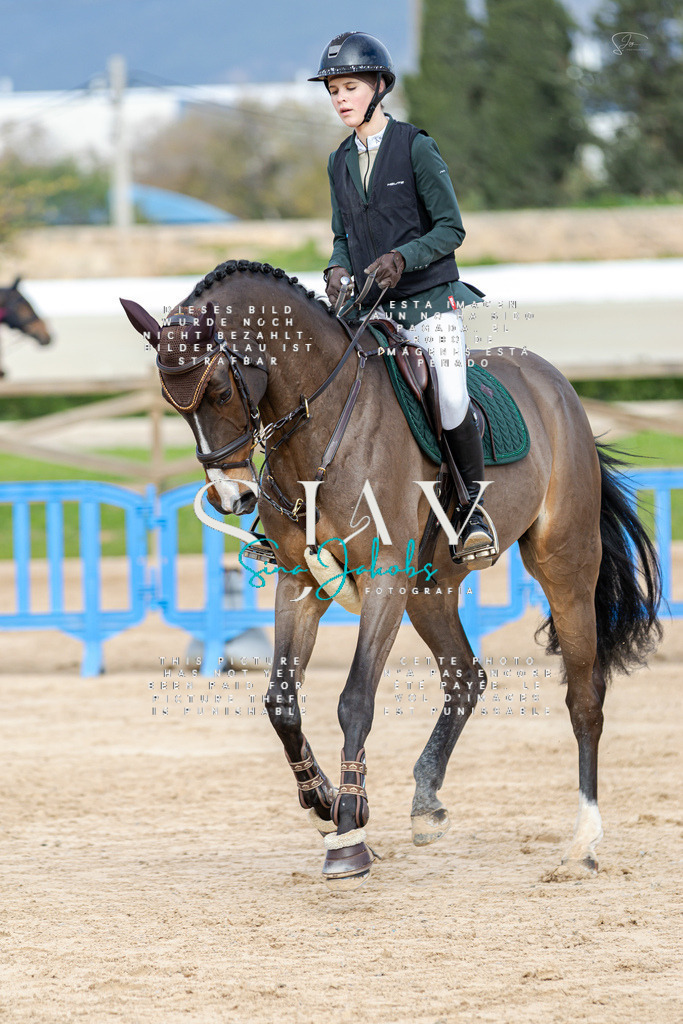 IMG_2812 | s-jay-photography - Realisiert mit Pictrs.com