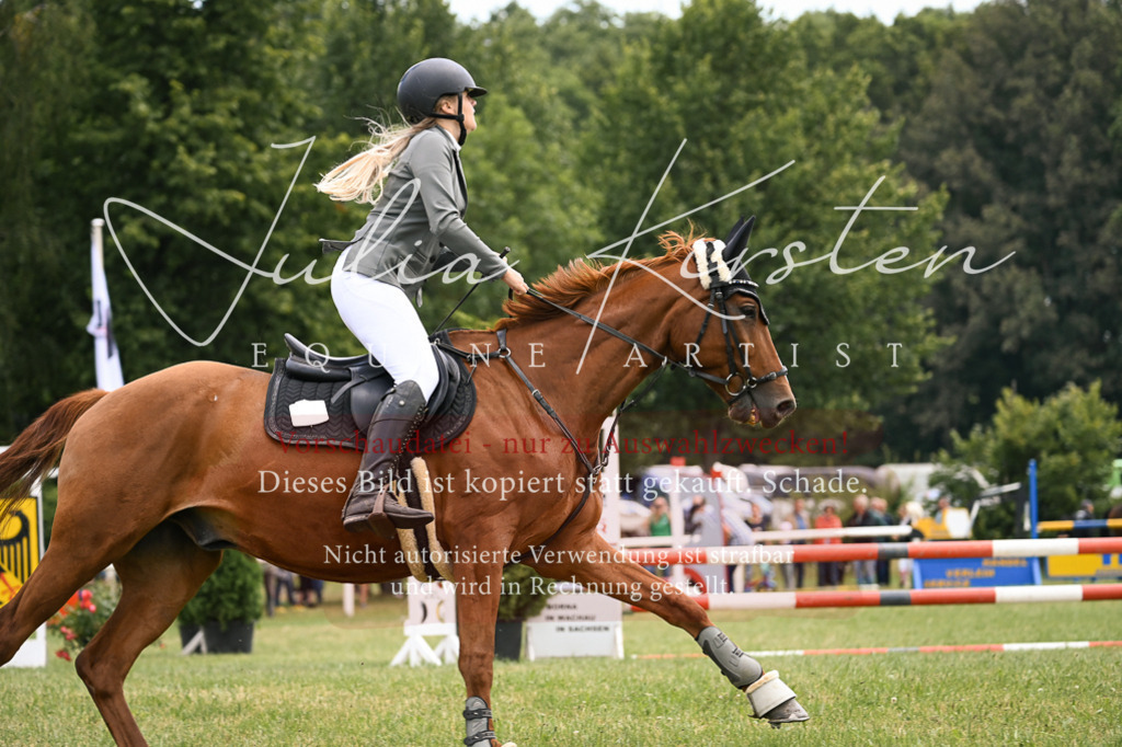 DSC_9125 | Pferde- und Turnierfotografie in Westsachsen. Pferdeportraits, Auftragszeichnungen und intuitive Kunst.