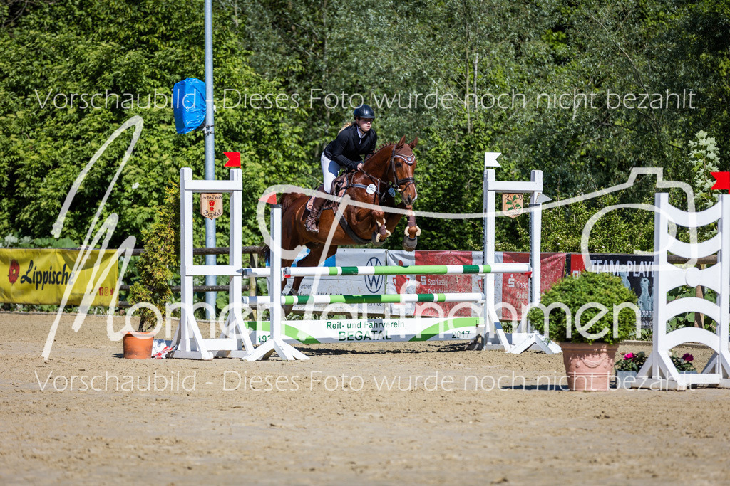 Donop24-A2Spr-134 | MomenTaufnahmen Pferdesportfotos