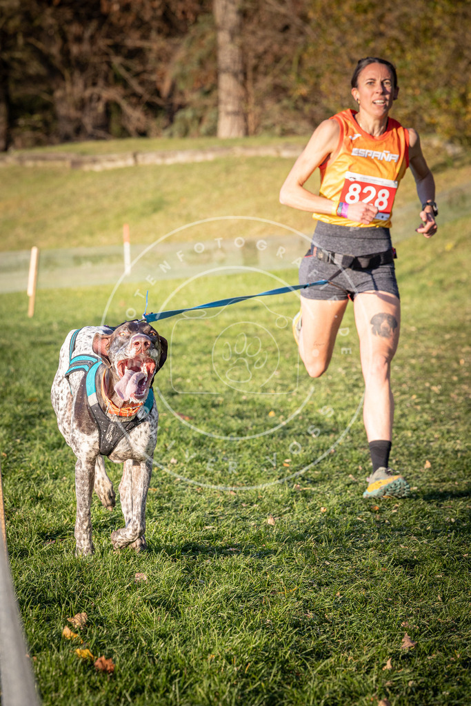 CaniXpix_0L8A0596 | Hundefotografie, Tierfotograf, Pfotenfotografie, Fotoshooting Hund, Hunde Portrait, Hundesport, Hundeportraits, Heideshooting, Hunde, Sportfotograf, Hundefotograf, Turnierhundsport, THS,  - Realisiert mit Pictrs.com