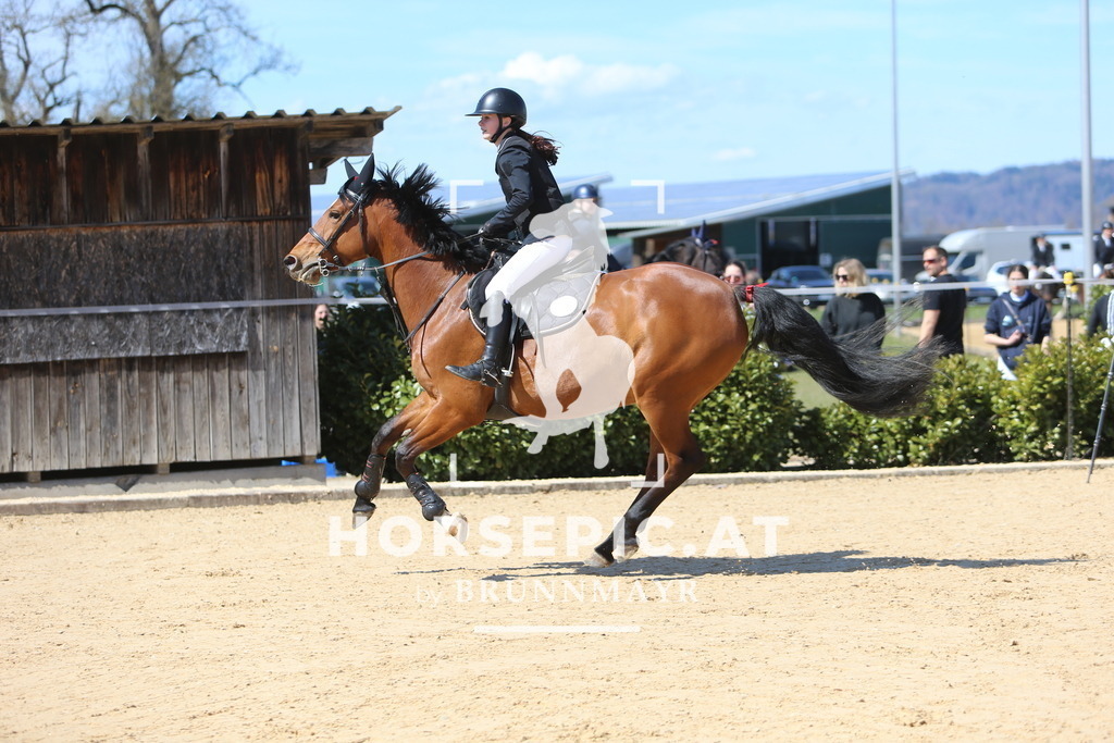 DL2Q5676 | Willkommen bei Brunnmayr - Design & Fotografie – Ihrem Spezialisten für Reitturniere und Pferdeveranstaltungen in Oberösterreich, Salzburg und Bayern! Seit über 17 Jahren sind wir leidenschaftlich dabei.