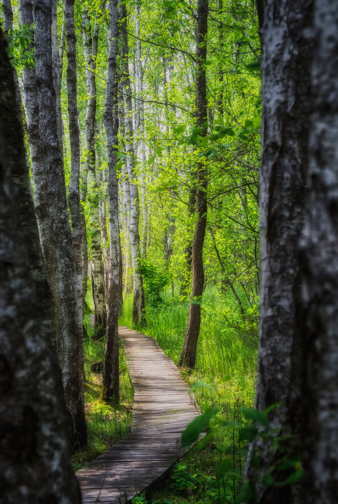 Poleski Nationapark 7 | Polen - Realisiert mit Pictrs.com