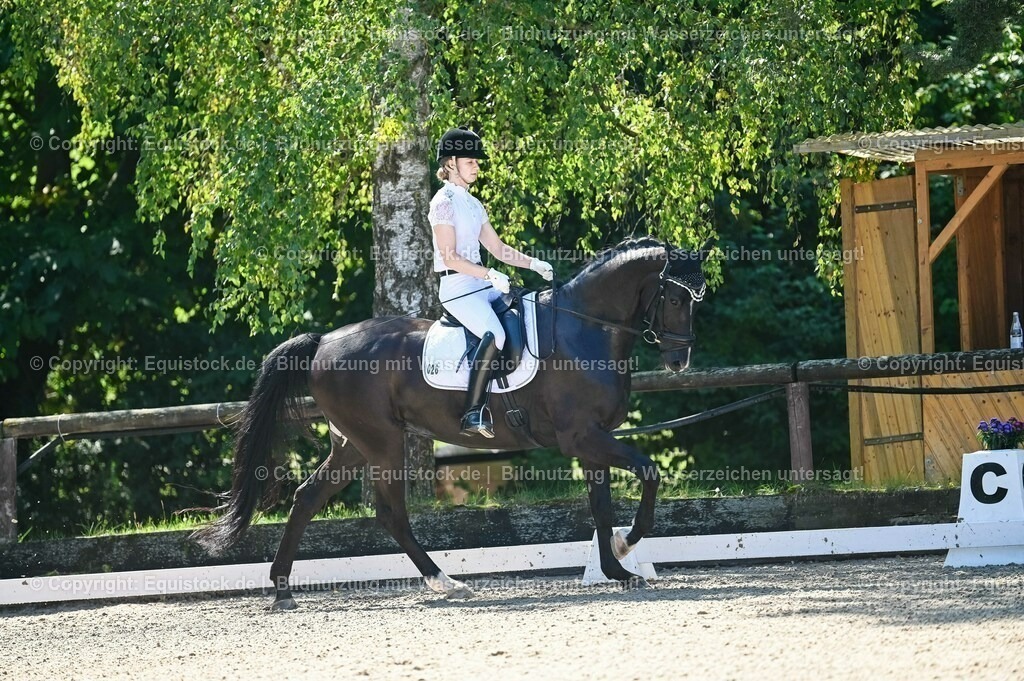 20230908_06_Dressur-L-Trense_0280 | equistock