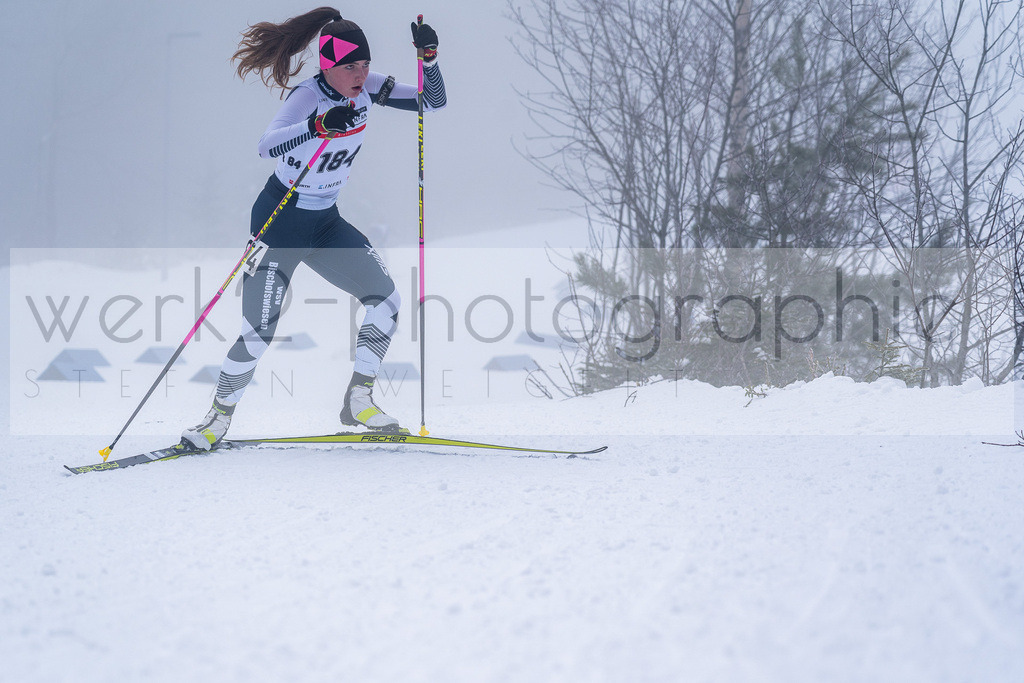 DSC Arber | Bayerischer Wald am 15. und 16. Januar 2022