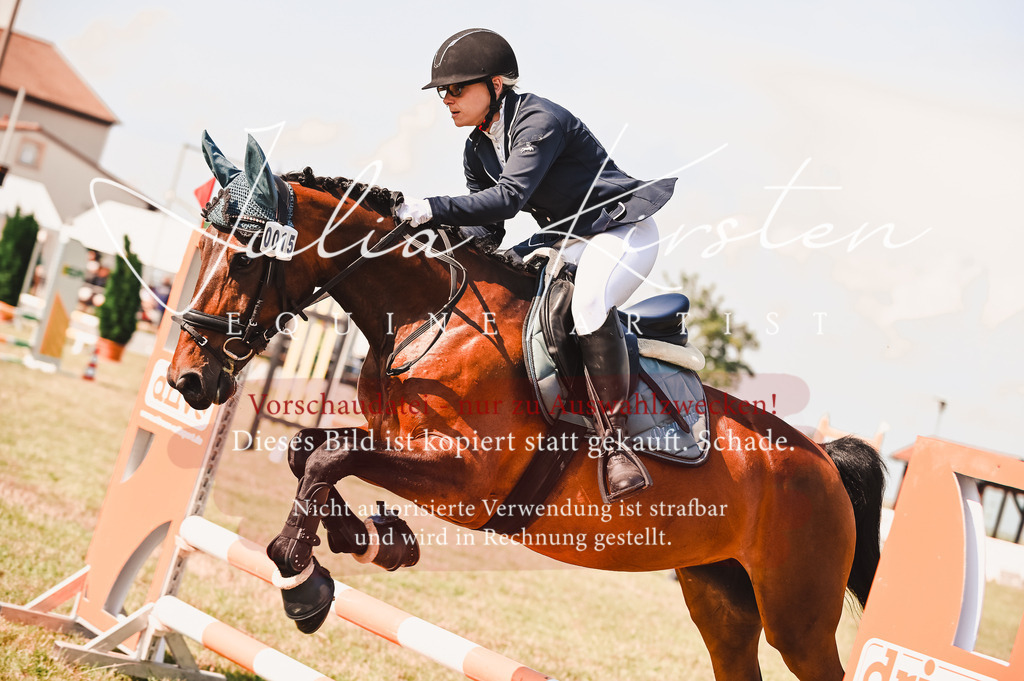 DSC_7361 | Pferde- und Turnierfotografie in Westsachsen. Pferdeportraits, Auftragszeichnungen und intuitive Kunst.