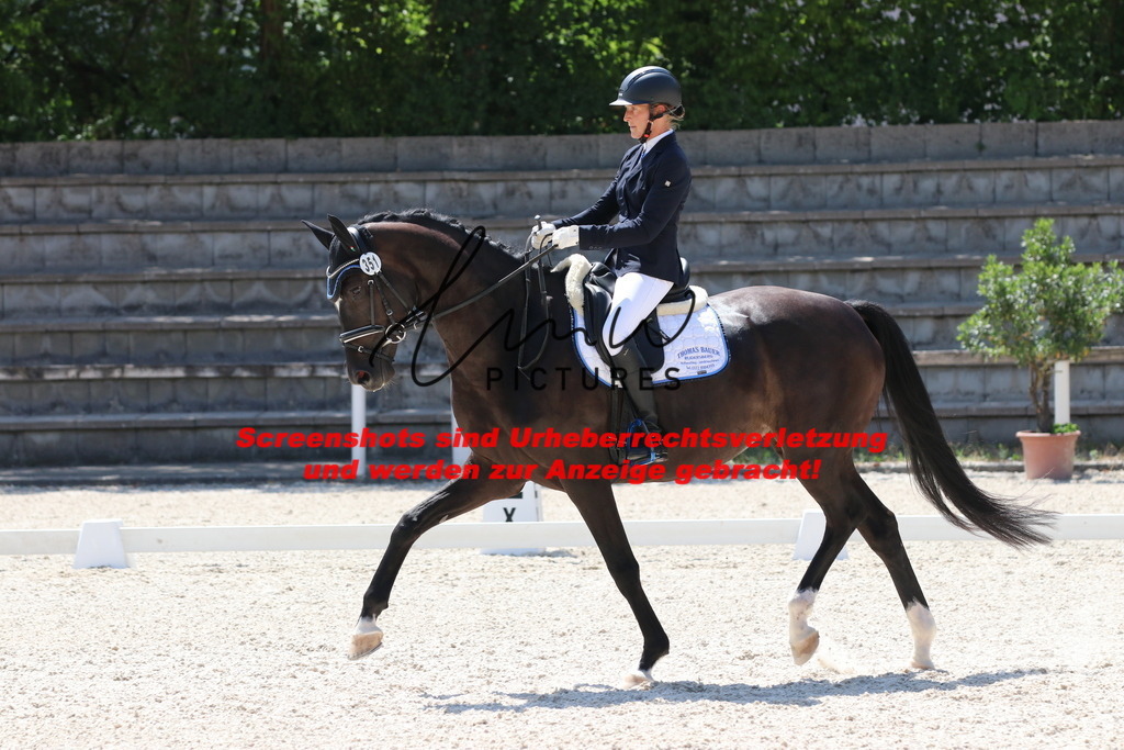 IMG_5116 | lmwpictures - Realisiert mit Pictrs.com