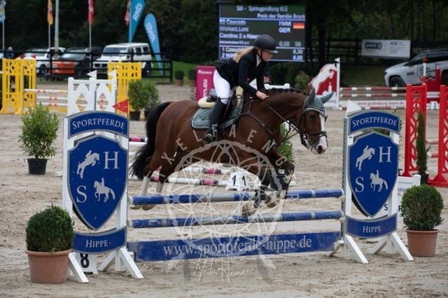 2B4A2294 | pixelfaenger - Realisiert mit Pictrs.com