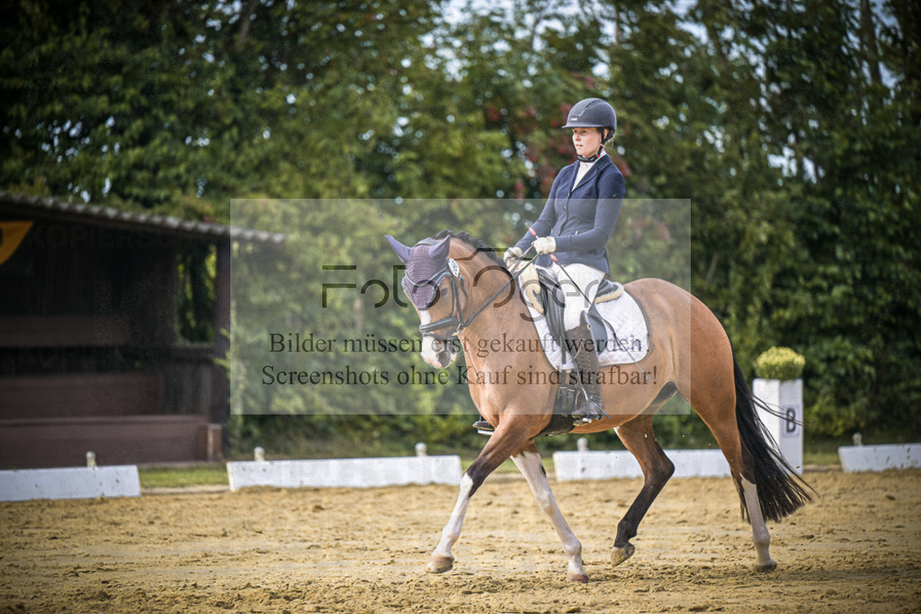 DOS_8996 | Entdecke hochwertige Reitturnierfotos von Foto Oger. Professionell, emotional und authentisch – jetzt Lieblingsmomente im Shop bestellen.Deutschlandweite Turnierfotografie. - Realisiert mit Pictrs.com