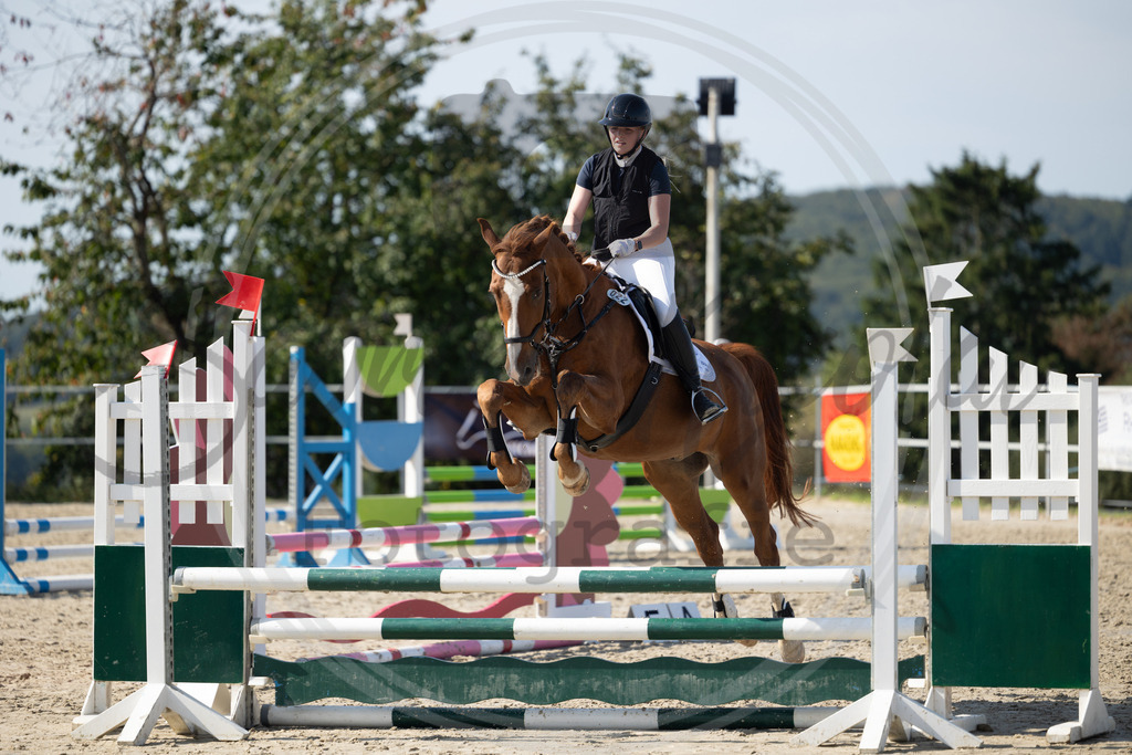 994A1835 | sabrinanicolaifotografie - Realisiert mit Pictrs.com