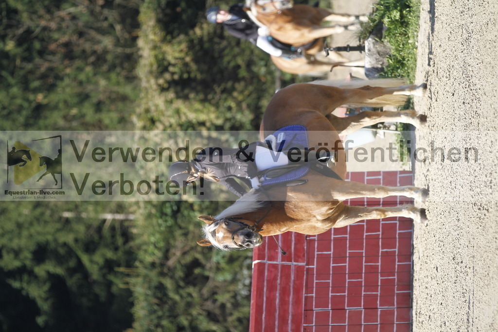 _MG_3816 | equestrian-live-com