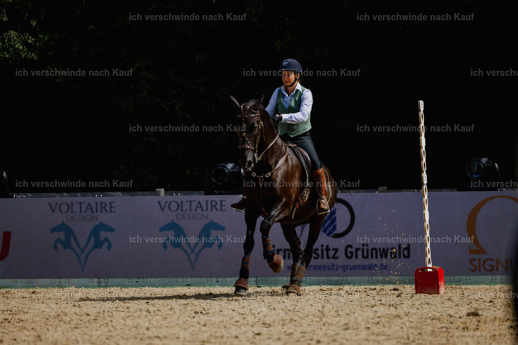 Mirjam25_FHC2025-20358 | working equitationturnier fotograf videograf stoibphotography marixx film working equitation deutschland reitsport turnierfotografie eventfotografie equestrian events