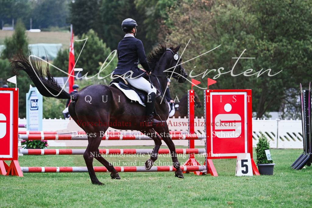 DSC_6469 | Pferde- und Turnierfotografie in Westsachsen. Pferdeportraits, Auftragszeichnungen und intuitive Kunst.