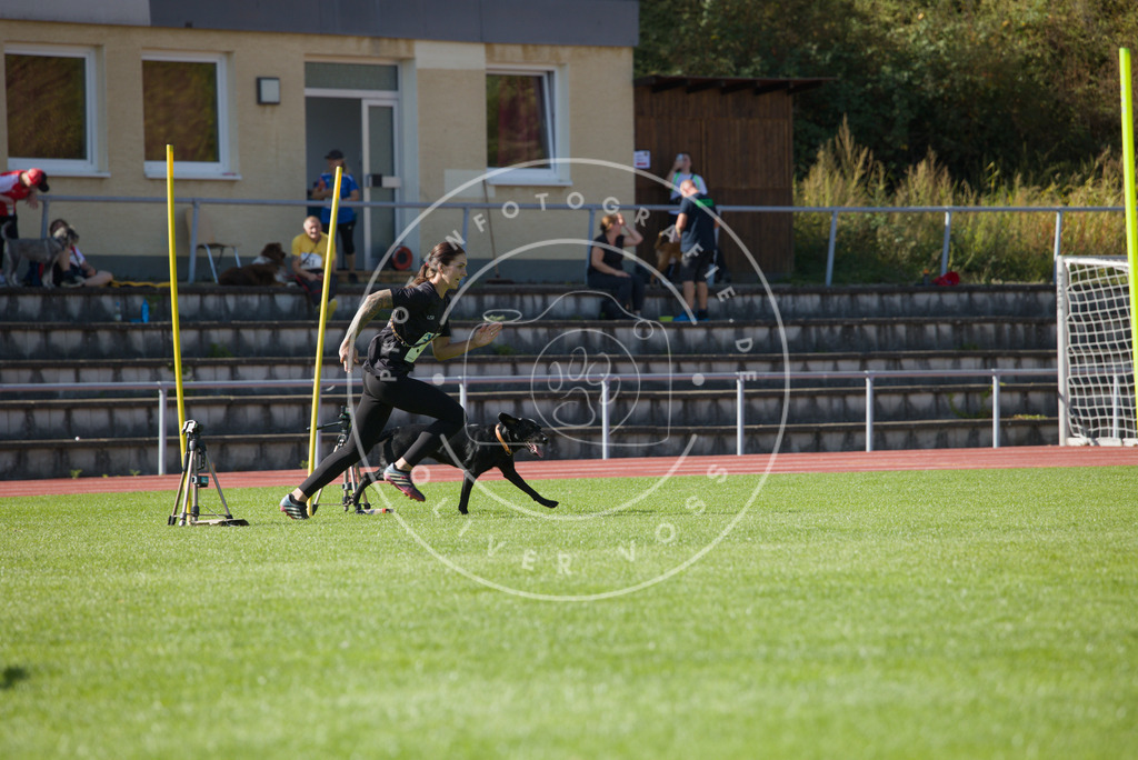 0L8A7885 | Hundefotografie, Tierfotograf, Pfotenfotografie, Fotoshooting Hund, Hunde Portrait, Hundesport, Hundeportraits, Heideshooting, Hunde, Sportfotograf, Hundefotograf, Turnierhundsport, THS,  - Realisiert mit Pictrs.com