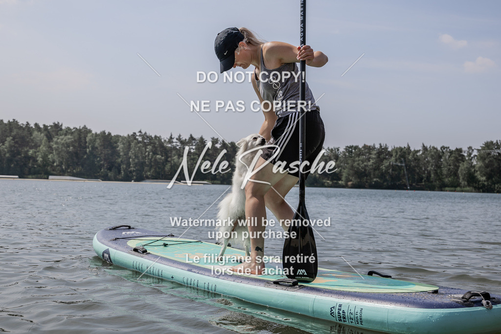 BUHU_SUP_651 | nelerasche