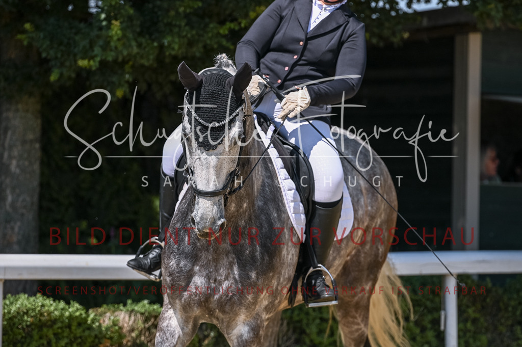 Schugtsche-Aluta25-53.Amat.Dressurprf.A2-11 | Schugtsche Fotografie - Realisiert mit Pictrs.com