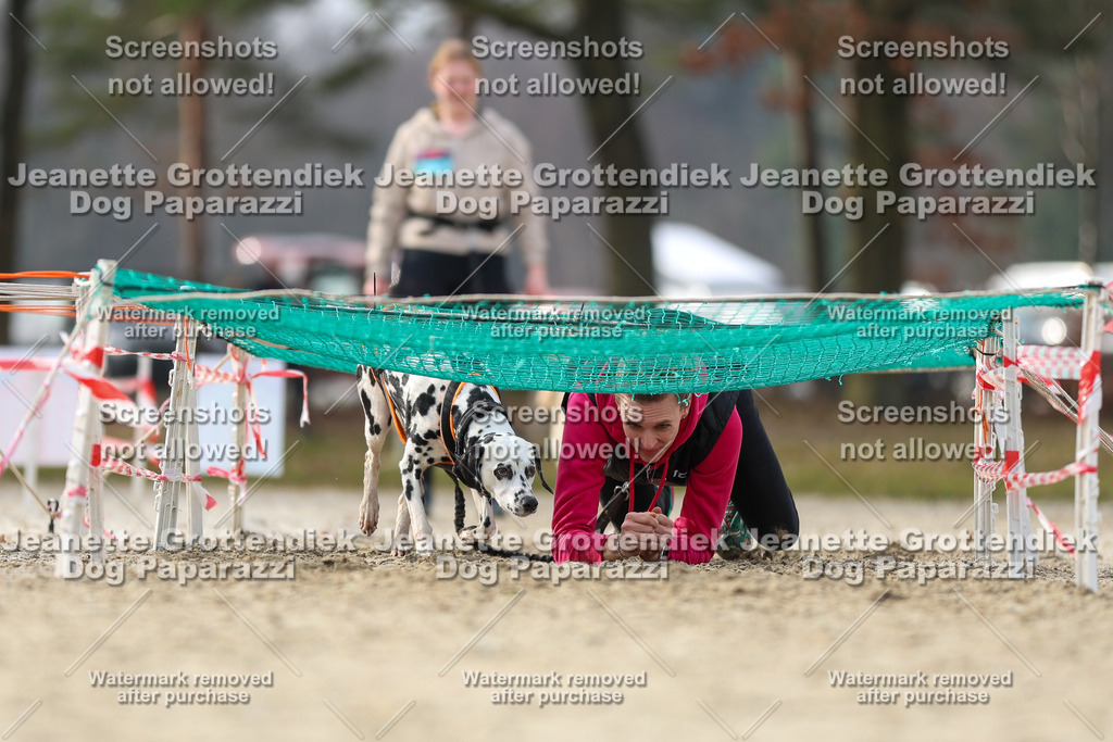 Dog Paparazzi - Strongdog North Mrz26-4824 | Dog Paparazzi Jeanette Grottendiek Fotografie & Videografie - Realisiert mit Pictrs.com