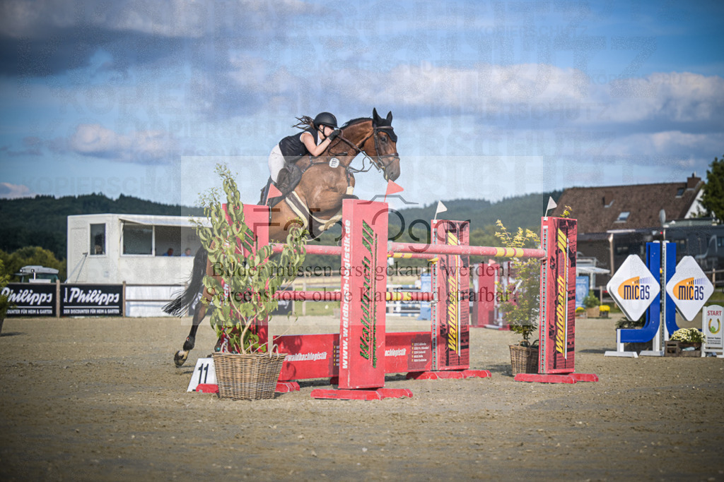 DOS_3253 | Entdecke hochwertige Reitturnierfotos von Foto Oger. Professionell, emotional und authentisch – jetzt Lieblingsmomente im Shop bestellen.Deutschlandweite Turnierfotografie. - Realisiert mit Pictrs.com