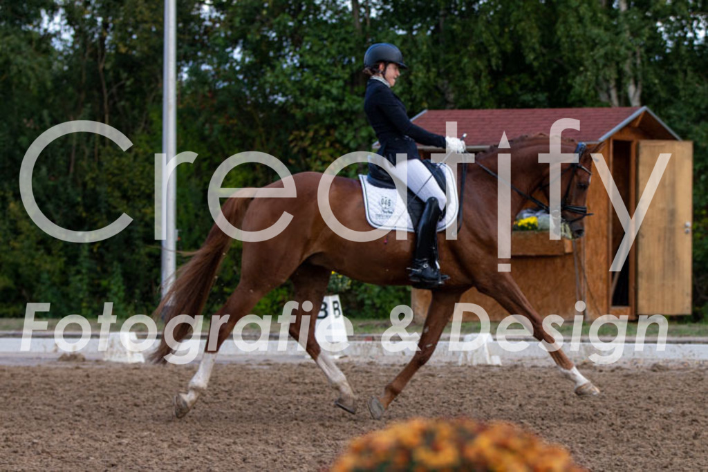 IMG_4175 | Creatify Fotografie