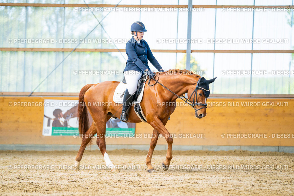 DSC07503 | Pferdegrafie