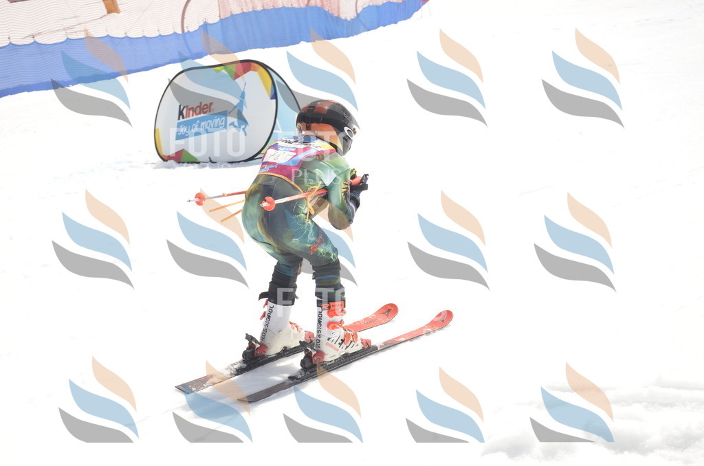 _ELE9192 | holidayphoto