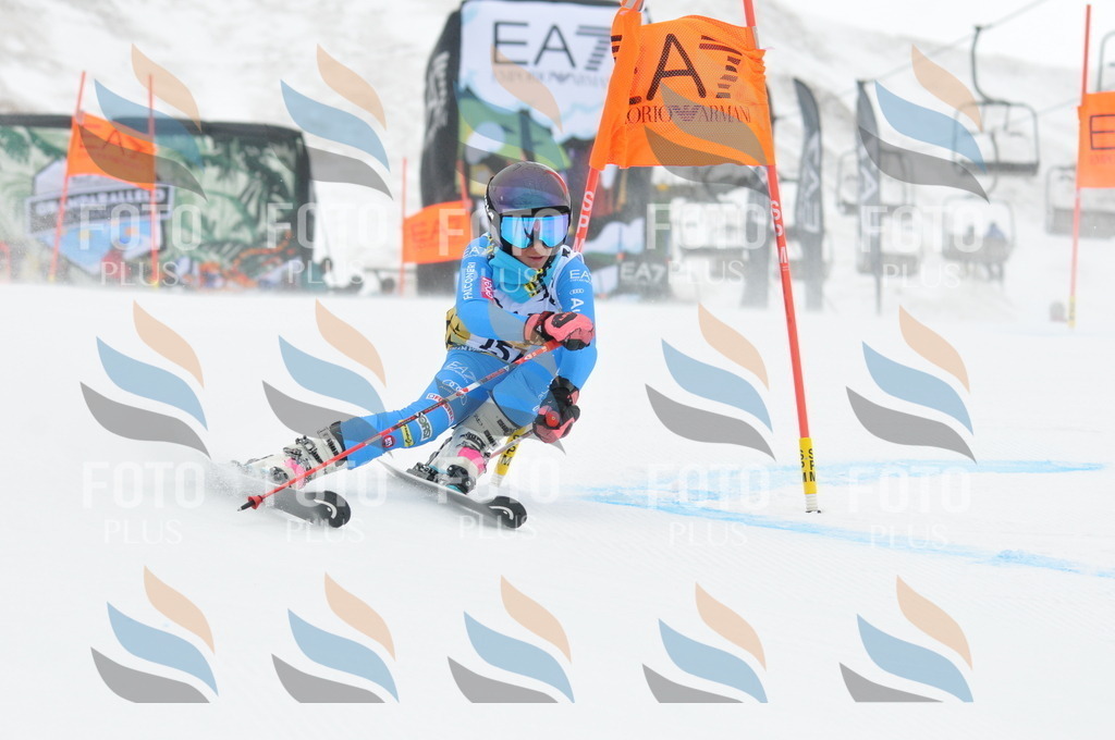 DSC_8934 | holidayphoto