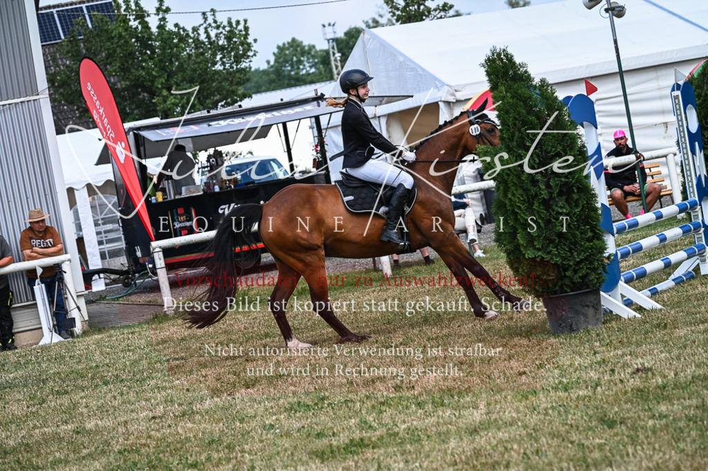 DSC_8466 | Pferde- und Turnierfotografie in Westsachsen. Pferdeportraits, Auftragszeichnungen und intuitive Kunst.
